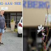 Handy Man - Herberg aan See - Xplorioâ„¢ Gansbaai