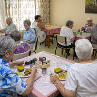 Lunch Time - Herberg aan See - Xplorioâ„¢ Gansbaai