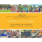 19 March 2022: Celebrate our 20th Vintage!