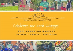 19 March 2022: Celebrate our 20th Vintage!