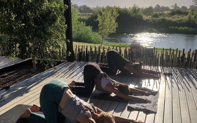 Photo_22_01_2021_18_26_32_1648036975