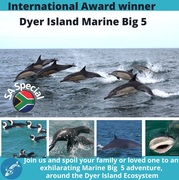 Next Dyer Island Marine Big 5 Tour: 24 March 2022