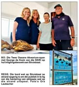 Red â€™n Seeskilpad SÃ³