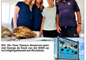 Red â€™n Seeskilpad SÃ³