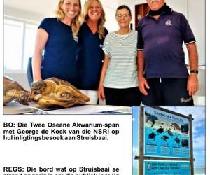 Red â€™n Seeskilpad SÃ³