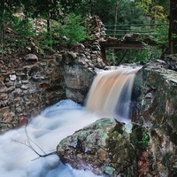 Caledon Wild Flower Garden - Xplorioâ„¢ Caledon