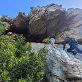 Caledon Wild Flower Garden - Xplorioâ„¢ Caledon