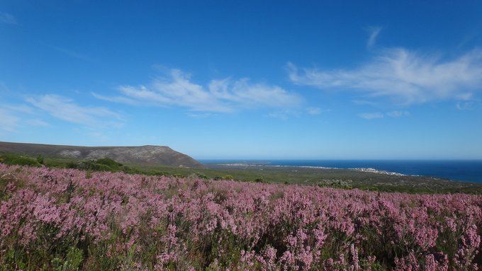 Take a walk on the wild side