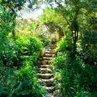 Caledon Wild Flower Garden - Xplorioâ„¢ Caledon