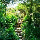 Caledon Wild Flower Garden - Xplorioâ„¢ Caledon