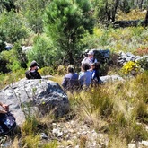 Caledon Wild Flower Garden - Xplorioâ„¢ Caledon