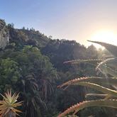 Caledon Wild Flower Garden - Xplorioâ„¢ Caledon