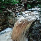 Caledon Wild Flower Garden - Xplorioâ„¢ Caledon