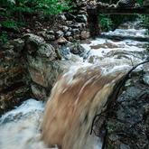 Caledon Wild Flower Garden - Xplorioâ„¢ Caledon