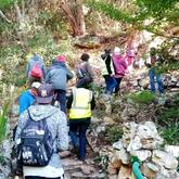 Caledon Wild Flower Garden - Xplorioâ„¢ Caledon