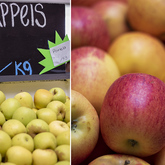 Apples - Die Markie LaBoucherie - Xplorioâ„¢ Gansbaai 