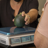 Weigh Per Required Amount - Die Markie LaBoucherie - Xplorioâ„¢ Gansbaai 