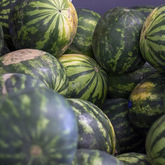 Watermelon - Die Markie LaBoucherie - Xplorioâ„¢ Gansbaai 