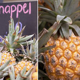 Pineapple - Die Markie LaBoucherie - Xplorioâ„¢ Gansbaai 
