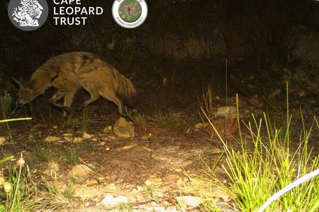 WhatsApp_Image_2022_03_30_at_2.24.12_PM_1648646008