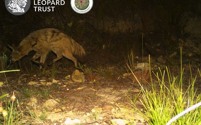 WhatsApp_Image_2022_03_30_at_2.24.12_PM_1648646008