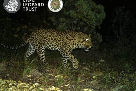 WhatsApp_Image_2022_03_30_at_2.24.13_PM_1648646007