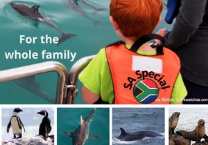 Next Dyer Island Marine Big 5 Tour: 1 April 2022