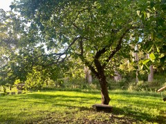 WIN a Personal Retreat for you and a friend!