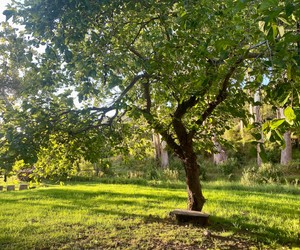 WIN a Personal Retreat for you and a friend!