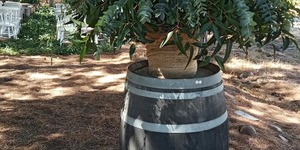 277755984_5802244426469327_156378835527628225_n_1649146395