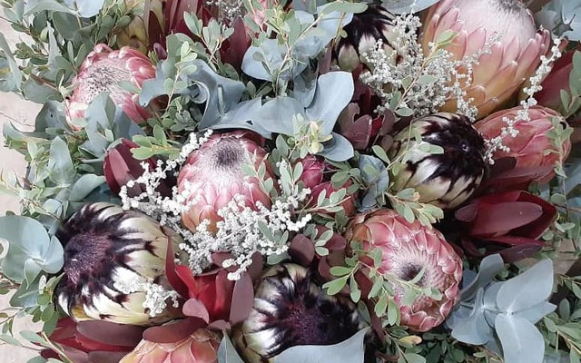 277771164_5802244113136025_2089763122844161195_n_1649146393