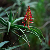 Beyond Black Mountain - Xplorioâ„¢ Caledon