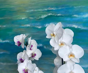 A Wonderful New Review