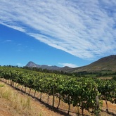 Seven Springs Vineyard - Xplorioâ„¢ Caledon