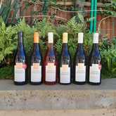 Seven Springs Vineyard - Xplorioâ„¢ Caledon