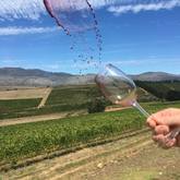 Seven Springs Vineyard - Xplorioâ„¢ Caledon