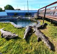 Easter WeekÂ Activities atÂ Afrikanos