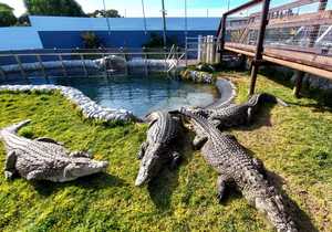 Easter WeekÂ Activities atÂ Afrikanos