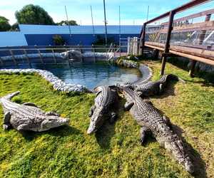 Easter WeekÂ Activities atÂ Afrikanos