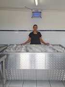 Fresh Yellowtail, Pike and Curry Fish