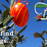 Quite a common question from our customers is, â€œWhere do we find Italian Easter eggs?â€ Well, we managed to catch on camera a rare sighting of Italian Easter eggs in their natural habitat... Happy Easter to all, from Fabioâ€™s and the team - Fabio's Ristorante - Xplorioâ„¢ Hermanus