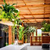 The One Heaven & Earth- Xplorioâ„¢ Caledon