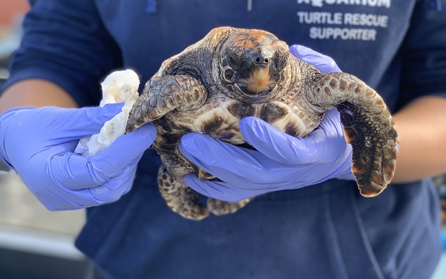 image00101_1_1650459329