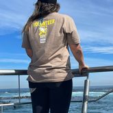 Shark Cage Diving Trip - White Shark Projects - Xplorioâ„¢ Gansbaai