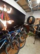 BicycleÂ Hiring, Sales, Maintenance and Servicing