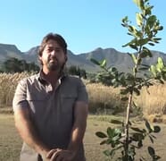 Village TV Stanford:Â Green Fever with Warren Stegmann