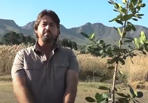 Village TV Stanford:Â Green Fever with Warren Stegmann