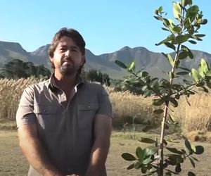 Village TV Stanford:Â Green Fever with Warren Stegmann