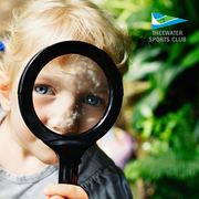 Camping ActivitiesÂ for Kids: I Spy