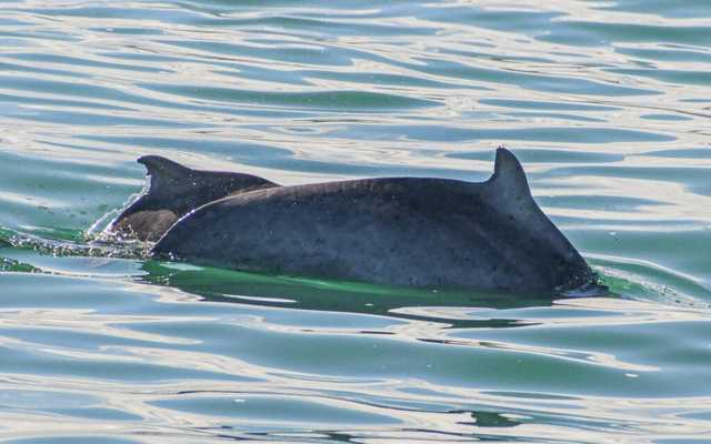 WhatsApp_Image_2022_04_26_at_10.39.51_AM_1__1650964587